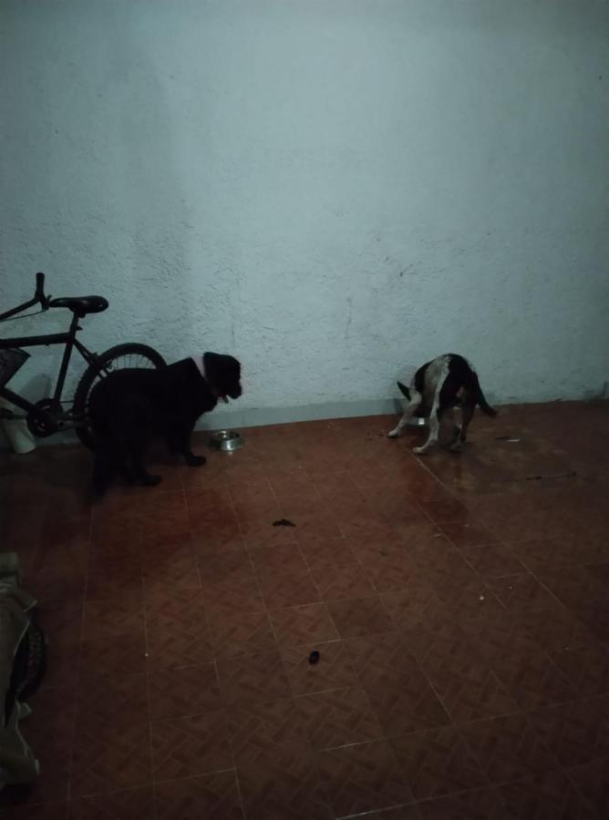 Mini Hostal Cultural De Mazatlan Ngoại thất bức ảnh